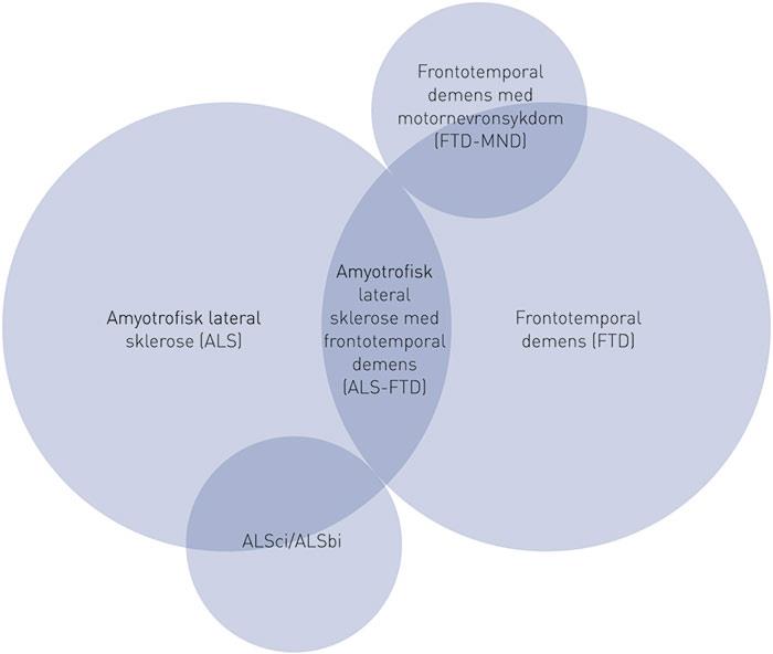 ALSci (ALS med mild kognitiv svekkelse) og ALSbi (ALS med mild atferdsforstyrrelse) representerer pasienter med kognisjons- og atferdsendringer som ikke tilfredsstiller demenskriteriene, men hvor man