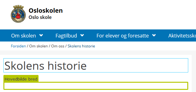 Versjonsnr. 2.1 Side 55 9. Bilder For å vise bilder på nettsiden må de være tilgjengelige i kategorien medier i ressursfeltet. Se ressursfelt: bibliotek for blokker og medier. 9.1 Gode bildestørrelser Du får tilgang til gode bildestørrelser via predefinerte størrelser i bilderedigeringsprogrammet.