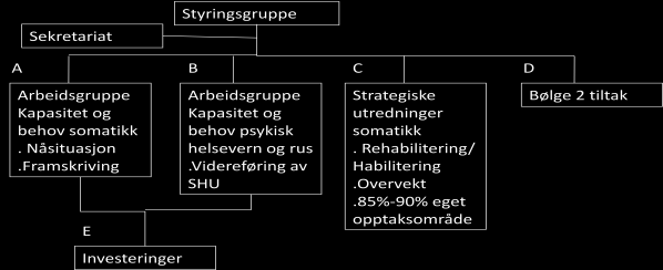 prosessen finnes i dokumentet Tidligfaseplanlegging i sykehusprosjekter utgitt av Helsedirektoratet.