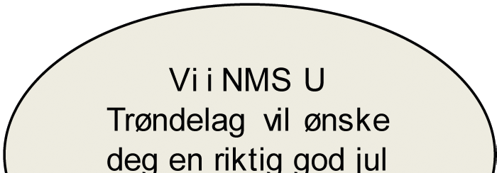 julebudskapet, familie, glede, pinnekjøtt og riskrem Da Svanhild Christofie tok permisjon fra NMS U for å jobbe som menighetspedagog i Melhus, ble stillingen som leder i NMS U Trøndelag, ledig.