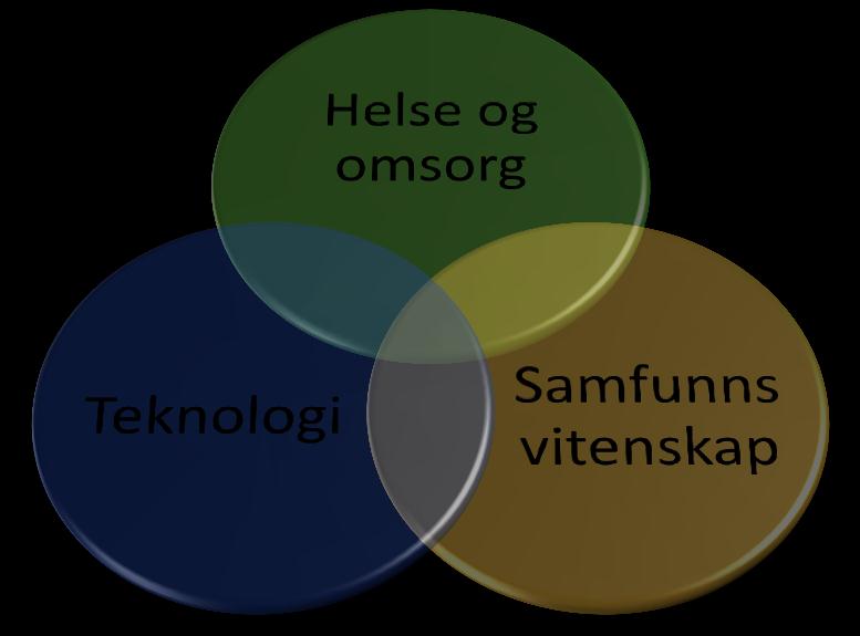 for økonomi og samfunnsvitenskap Et av toppsatsingsområdene