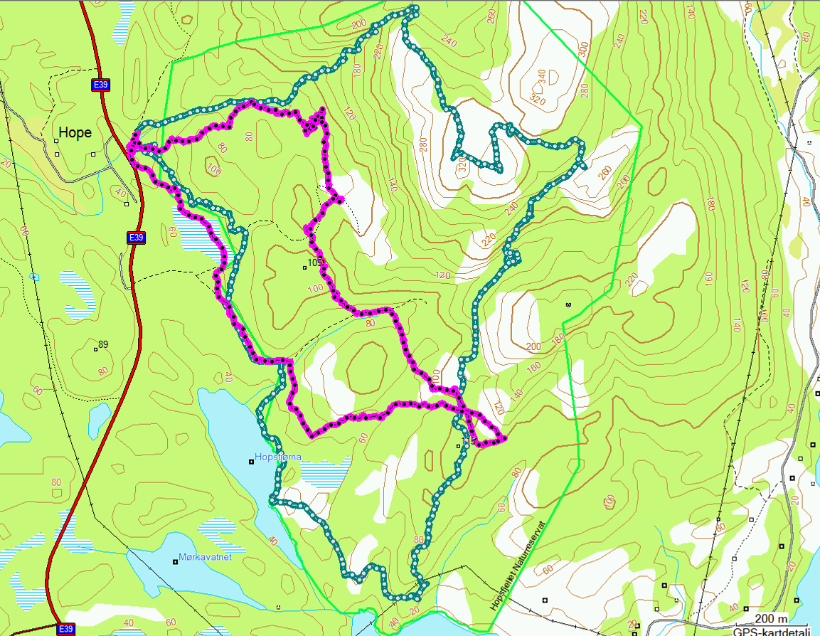 Nøtte=nøtteskrike og Gråm=gråmåke. Piler indikerer fugler som hevder territorium samtidig. Målestokk=:5 6. Figur 7.