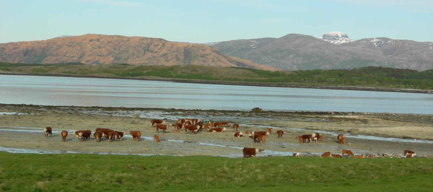 Nord-Norge En spørreundersøkelse gjennomført i Nordland, Troms