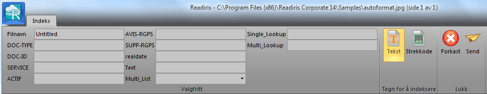 Hvis du ikke merker av for Brukerindeks, vises bare obligatoriske indeksfelt når du sender dokumentene. Klikk Send for å sende dokumentene. De (obligatoriske) indeksfeltene vises i kategorien Indeks.