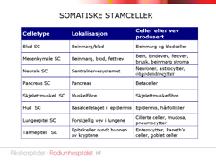 I beinmargen er det også en mesenkymal stamcelle, og den kan bli til bein, brusk, sener og fettvev og beinmargsstroma, og noen mener også hjertemuskelceller, men det foreligger ikke data som