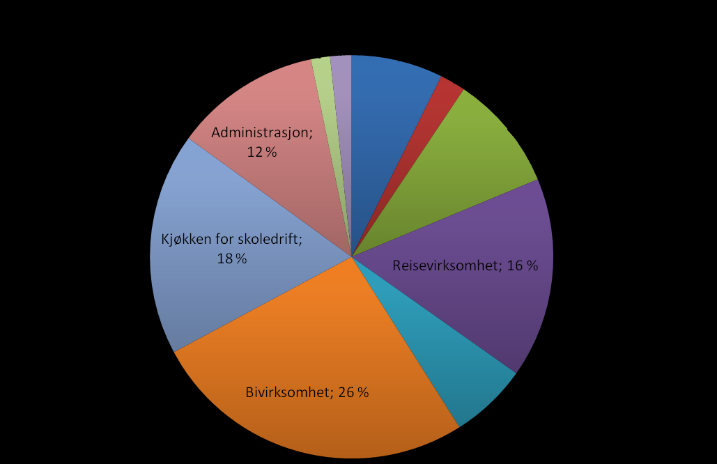 Sett bort i fra bivirksomheten som utgjør en fjerdedel av ressursbruken er reisevirksomhet skolens største primæraktivitet, mens kjøkken for skoledrift er den største støtteaktiviteten.