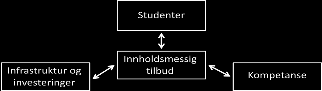 83 Det kan virke lite hensiktsmessig at tidsperspektivet for de ulike strategiske områdene er såpass forskjellige, særlig hvis man tenker på at det innholdsmessige tilbudet gjerne er definerende for