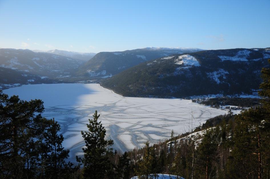 regionaldepartementet på omsøkte Bolystmidler mars 2013 Tinn, mars 2013