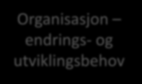 Organisasjon endrings- og utviklingsbehov Den siste analysen man skal gjøre er endrings- og utviklingsanalysen.