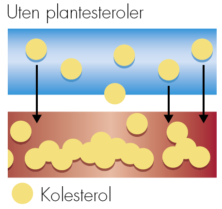 Anbefalinger ω-3 3 fettsyrer Voksne bør spise fet fisk minst 2 ganger pr uke ω-3 3 fettsyrer Mengde fisk og tran som gir 1 gram omega-3 fettsyrer I tillegg anbefales det å bruke α-linolen fettsyrer