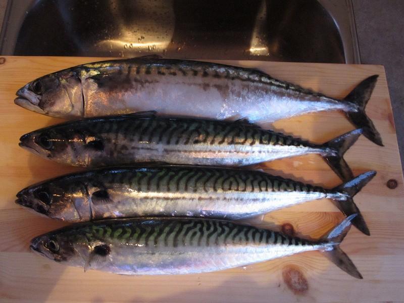 Generelt Ved badeanlegget Håp I Havet kan du nyte et godt bad i varmtvassbassenget eller i et boblebad i solnedgang, og som også har treningsstudio med storhavet som nærmeste nabo.