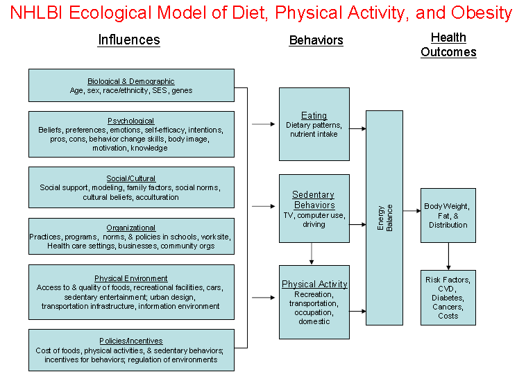 Figur 1. An ecological model of diet, physical activity, and obesity (National Institutes of Health, 20