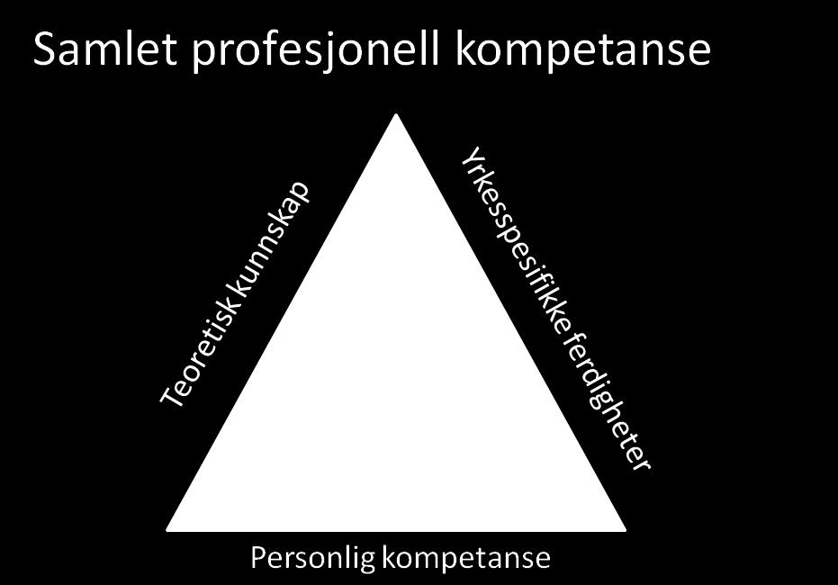 Modell samlet profesjonell kompetanse: De tre aspektene utgjør en helhet, de kommer til uttrykk samtidig i alle yrkesrelaterte handlinger og samhandlinger, men med ulik tyngde.