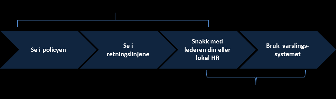 Akseptere samtidig ansettelse i et annet selskap Bruke selskapets ressurser til private formål, med mindre det er formelt avtalt Favorisere slektninger eller venner Ansette slektninger eller venner