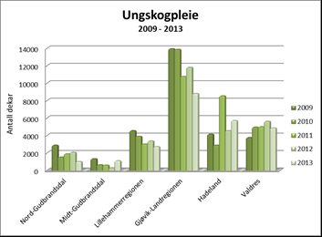 I 2013 ble det kjøpt inn og plantet i underkant av 200.000 planter i regionen. Av disse var vel 2.500 suppleringsplanter. Tallet for 2012 var 240.000 planter. I 2013 ble det markberedt omlag 1.