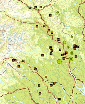 Tabell: Oversikt over antall bjørn i Oppland registrert ved DNA-innsamling.