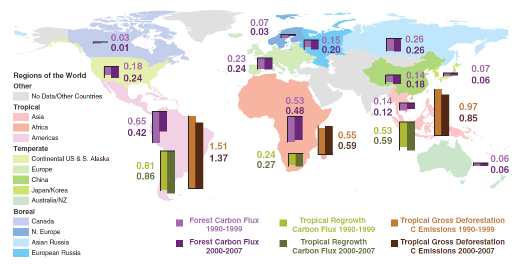 CO 2 -flukser i verdens skoger 26 % 47 % Klimagassutslipp tas opp av Atmosfære Hav 26 % Landområder (inkl.