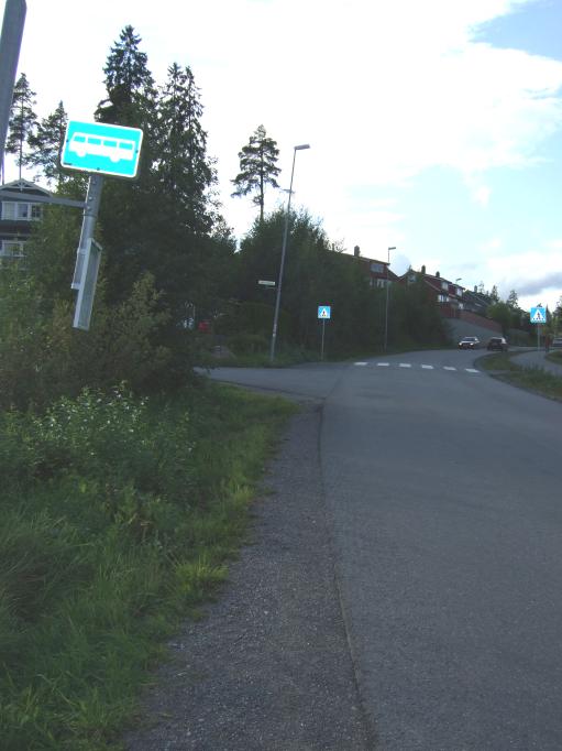 Linje: 401 Retning: Oslo Fjellsetveien Stopp i vegbanen uten repos er Ok i slike indre trafikkerte veger. Men passasjerene angler et sted å vente.