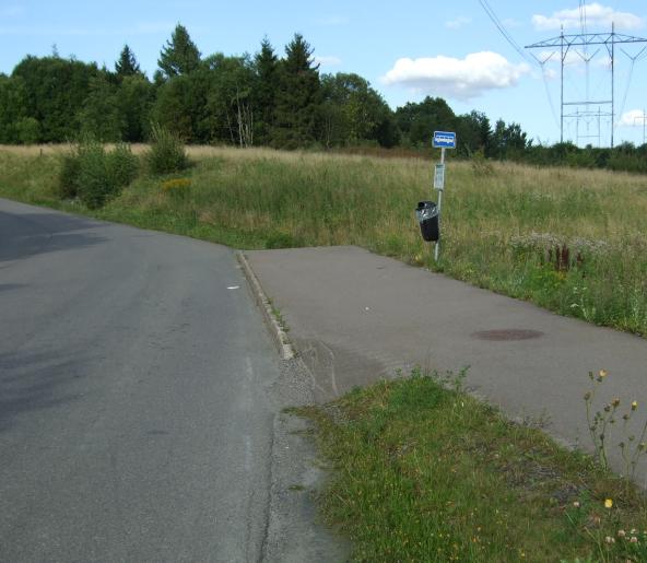 Holdeplassen frastår so trafikkfarlig, da den er sal, ligger rett etter kurve og ikke er erket opp i vegbanen.