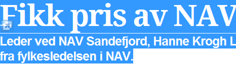 Vinn/vinn situasjon Internt tilrettelegging fra NAV/Krav og forventninger til ungdommen Arbeidspraksis tiltak i kommunen / avklaring på timen Samarbeid Kriminalomsorgen/Berg fengsel.