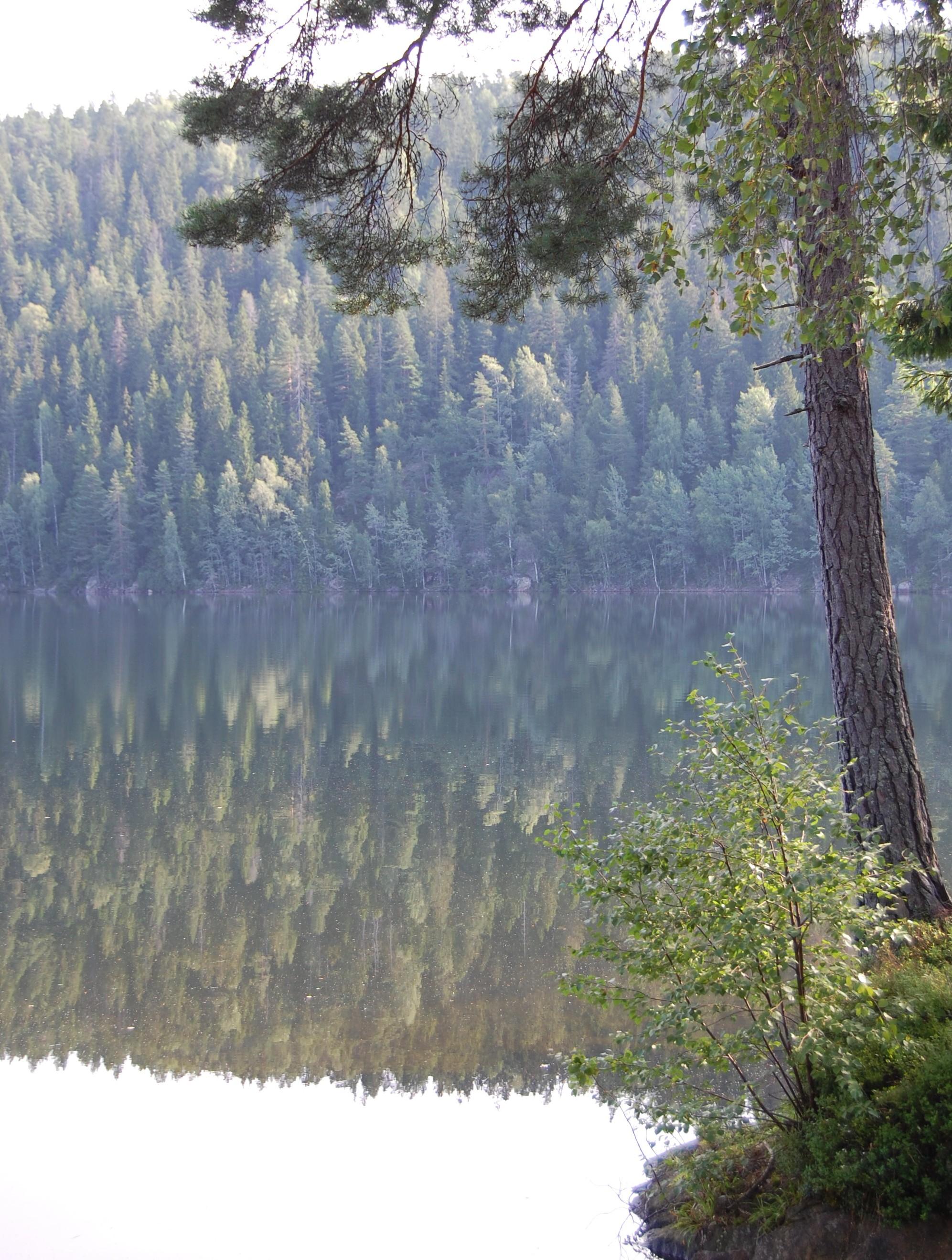 Avtalevilkår for Tilknytning til Sande kommunes