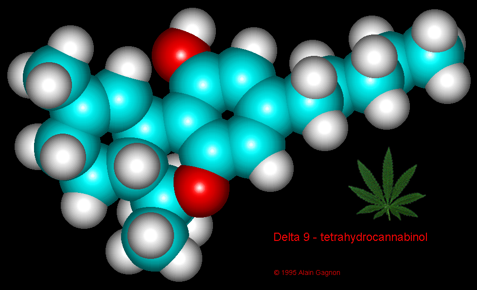 THC har en rekke relativt spesifikke virkninger I nervesystemet: rus, eufori forsterkede sanseinntrykk Sedasjon (beroligende virkning) Kognitive (tankemessige) funksjoner reduseres Psykomotoriske