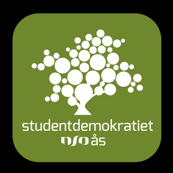 Kandidater til Internasjonalt Ansvarlig i Studentstyret:... 2 Joakim Hope Soltveit... 2 Kaisa Andrea Ferguson Fredriksen.