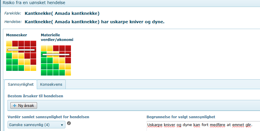 Vi får da opp en risikovurdering med fargekode i et aksekors.