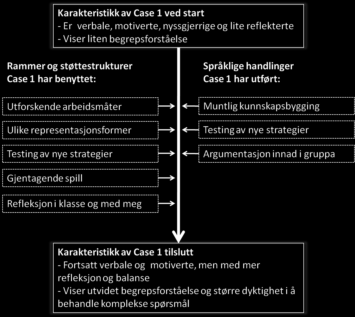 Figur 14: Hva kan ha