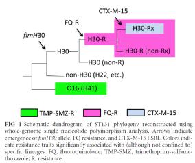 mbio 2013; Banerjee R et al. Antimicrob. Agents Chemother. 2014 ESBL-CARBA: JA eller NEI? Species: E.