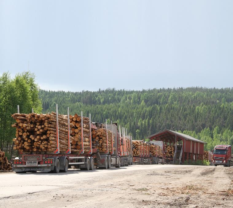 Hedmarksskogbruket i tall Skogfondregnskapet 2013 og