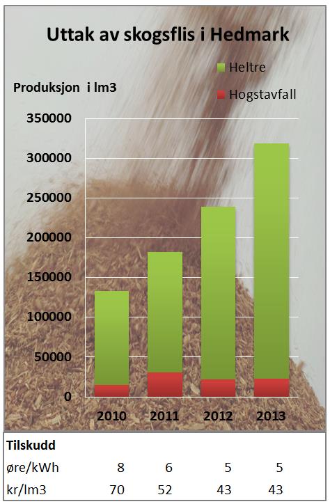 Bioenergi Prosjektet Grønn Varme i Landbruket med Innovasjon Norge og Hedmark fylkeskommune som samarbeidspartnere, ble avsluttet ved utgangen av 2012.