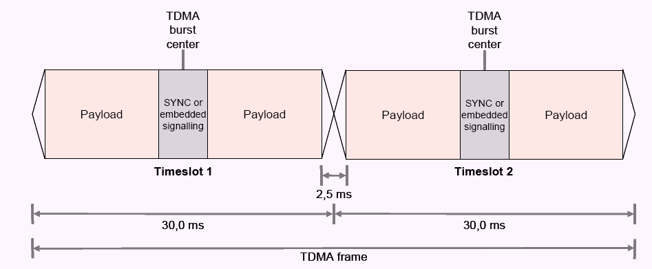 ms DMR (Digital