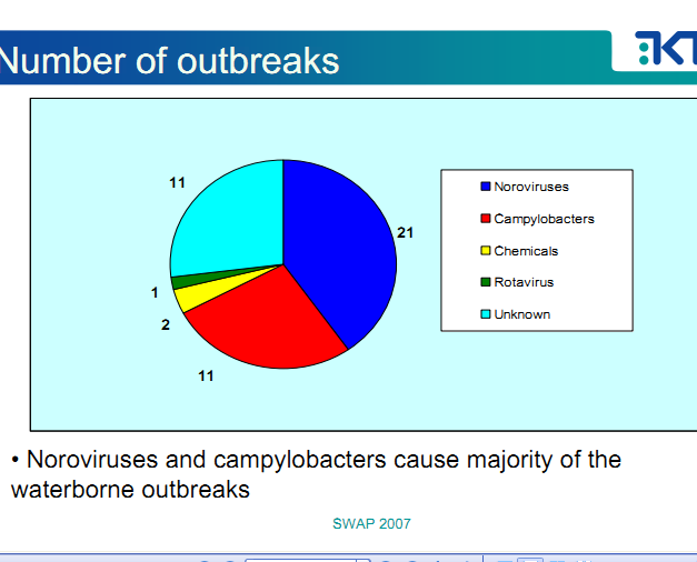 Finland Finland 1998-2005 52 utbrudd Grunnvann Små vannforsyningssystemer Campylobacter og norovirus 2007: