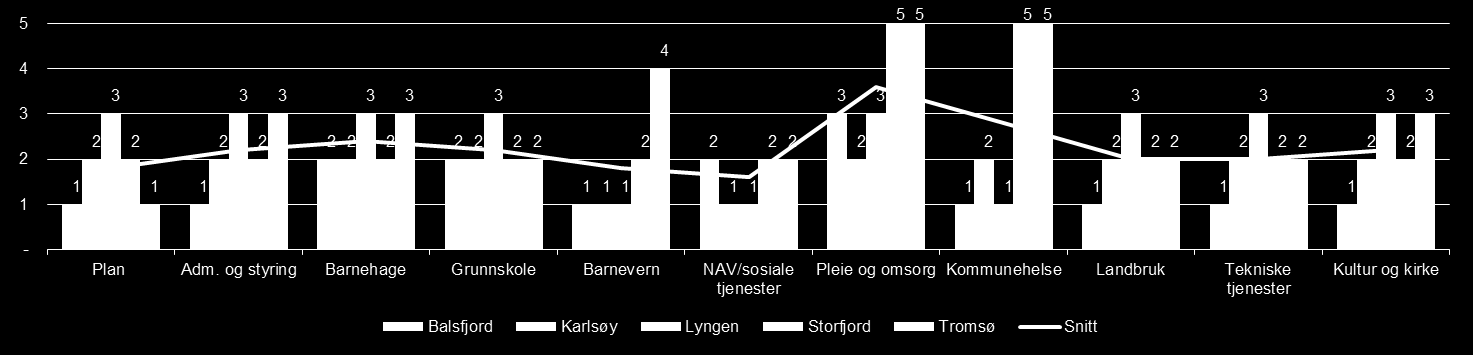 I snitt er plan og pleie og omsorg vurdert som de tjenesteområdene med størst kapasitetsutfordringer per i dag.