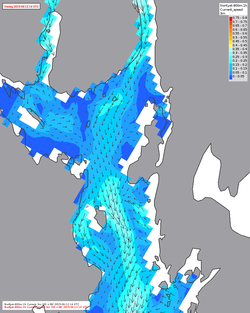 Detaljer midtre fjord Lavvann i Drøbak 20:49 Fredag 16:00