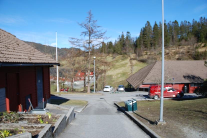 Osterøy kommune Skulelokalisering Valestrand - Hauge Rapport frå arbeid med