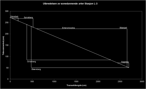 Figur 40. Utbredelsen av sonedannende arter på Stasjon L-3, Langøra i cm høyde over sjøkartnull. Data for tidevannshøyde er tatt fra Meteorologisk Institutt (www.met.no). 8.3.1.