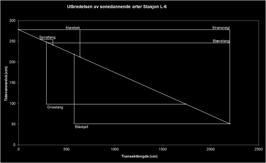 Figur 48. Utbredelsen av sonedannende arter på Stasjon L-6, Futbukt, i cm høyde over sjøkartnull.