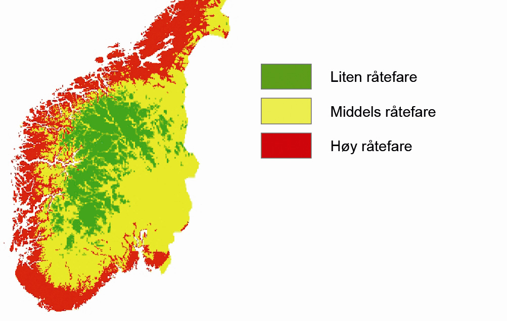 Hvor stort fuktinnhold i trevirket som er nødvendig for at råtesopper skal etablere seg, varierer mellom de ulike artene. I tillegg virker temperaturen og tilgang til næring inn på veksten.