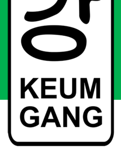 2015 Sportslig Plan Keum Gang Taekwondo St.