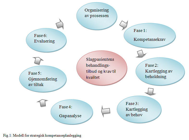 Strategisk kompetanseplan - modell I arbeid med utvikling av strategisk kompetanse, kan det være nyttig å bruke en modell som grunnlag for arbeidet.