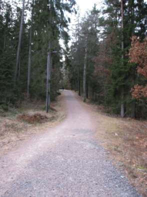 Annen tilrettelegging Lysløypa på Fevik blir kjørt opp med skispor ved snøfall. Det kunne være aktuelt å legge til rette for pigging på deler av løypa.