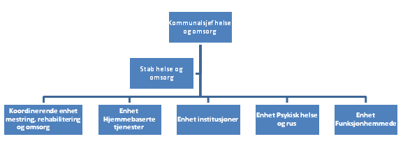 Omsorgsenhetene, ny struktur Våren 2013 vil innsatsen være rettet mot å konsolidere ny struktur og hverdagsrehabilitering.