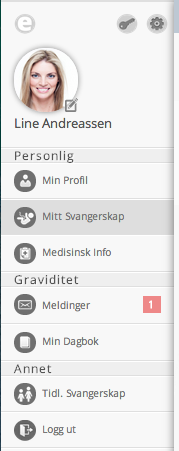 3.1 Generelt Digitalt Helsekort for Gravide er en web-applikasjon som skal gi gravide kvinner rask og enkel tilgang til informasjon uansett hvor de er.