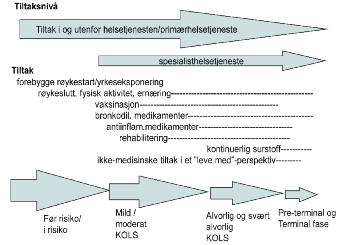 KOLS FORLØPSGRUPPE KOLS Rapport fra arbeidsgruppe pasientforløp kols Marit Fredriksen, Lungesykepleier, Granheim Lungesykehus SIHF Som ledd i forberedelsene til St.