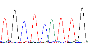 Begrensninger universell amplifikasjon Polymikrobiell prøve Universell 16S PCR Prøve Resultat dyrkning Resultat 16S sekvensering