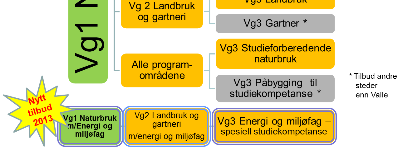 Elever med enkeltvedtak om spesialundervisning eller planlagt grunnkompetanse Enkeltvedtak om spesialundervisning og ikke har vurdering med karakter i flere fag Gjelder for søkere med enkeltvedtak om