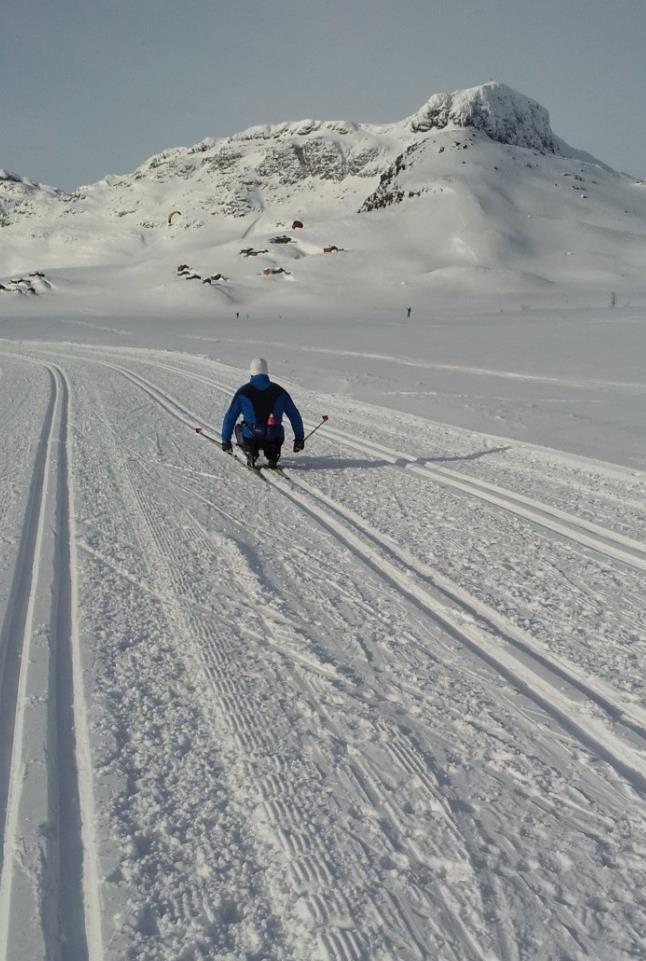 FORBLI AKTIV mulighet for vedvarende deltakelse