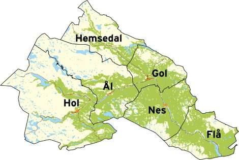 Hallingdal lokalmedisinske tenester - omsorg